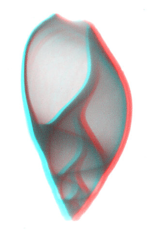 shell
