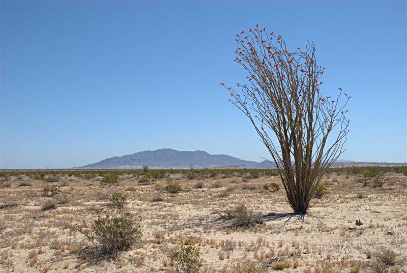 Yuha Desert