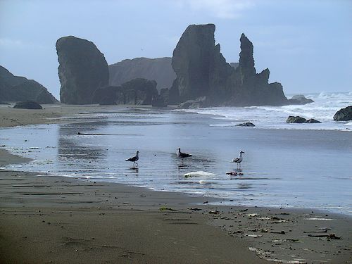 Bandon Beach