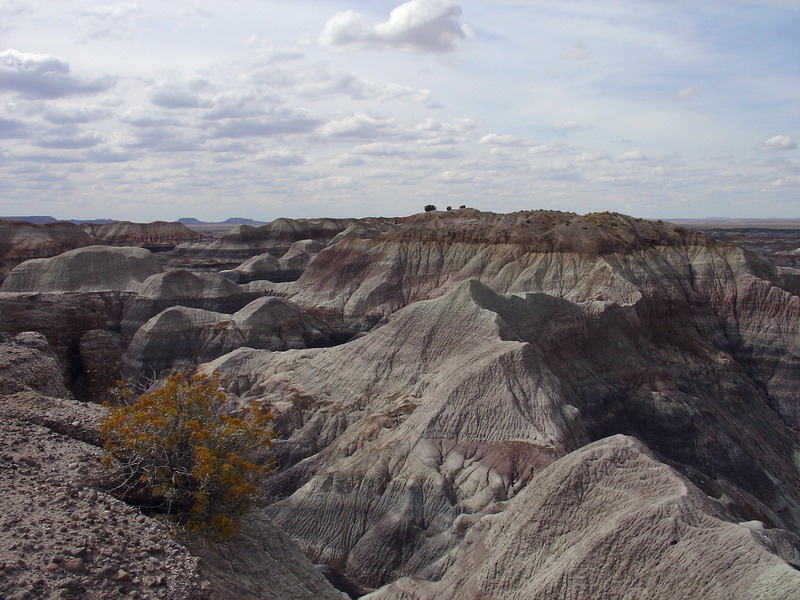 Blue Mesa