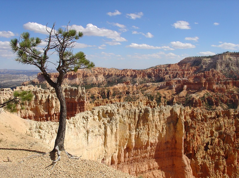 Bryce Canyon