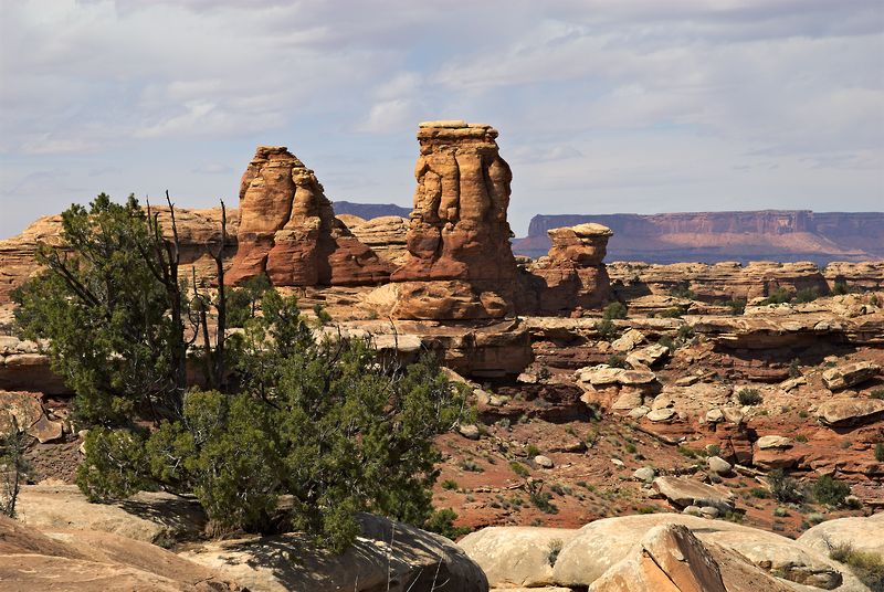 Canyonlands