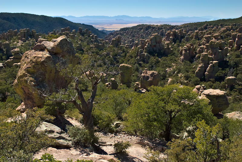 Chiricahua NM