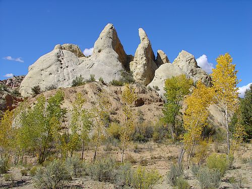 Cottonwood Canyon