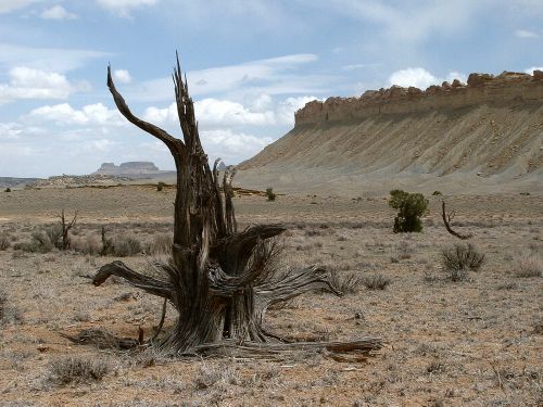 Capitol Reef