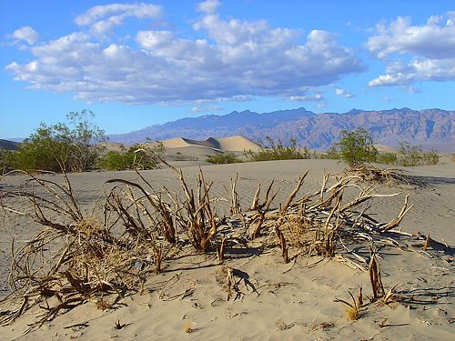 Dunes