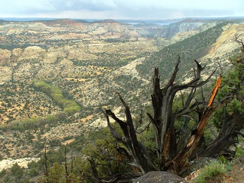 Escalante NP