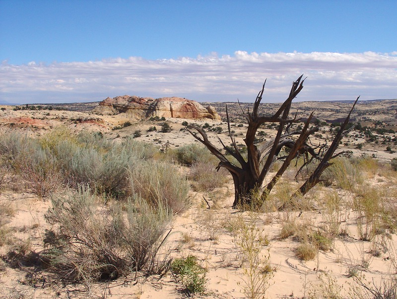 Grand Staircase-Escalante NP