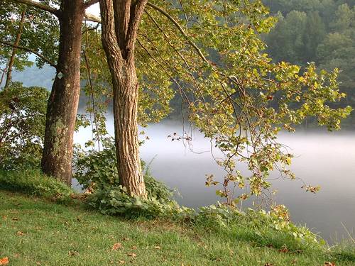 River, Fog