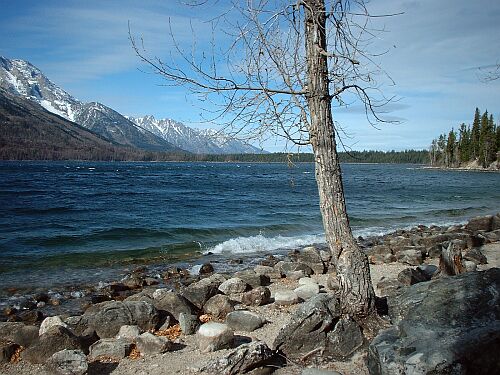 Jenny Lake