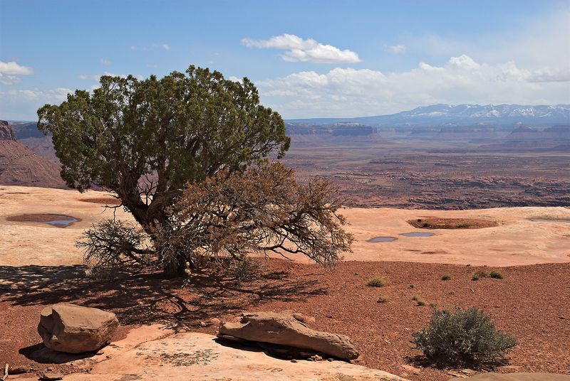 Canyonlands