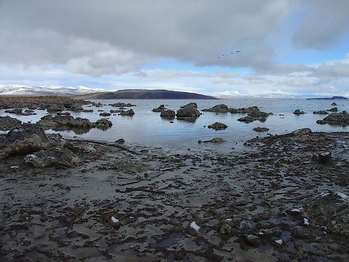 Mono Lake