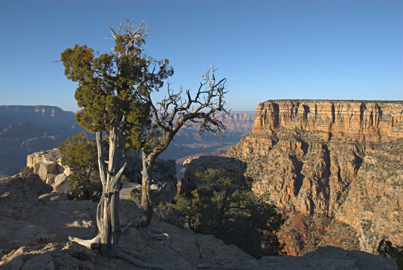 Moran Point