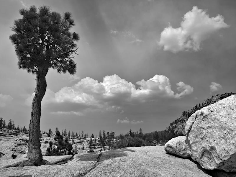 Olmsted Point