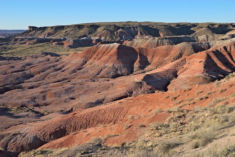 Painted Desert