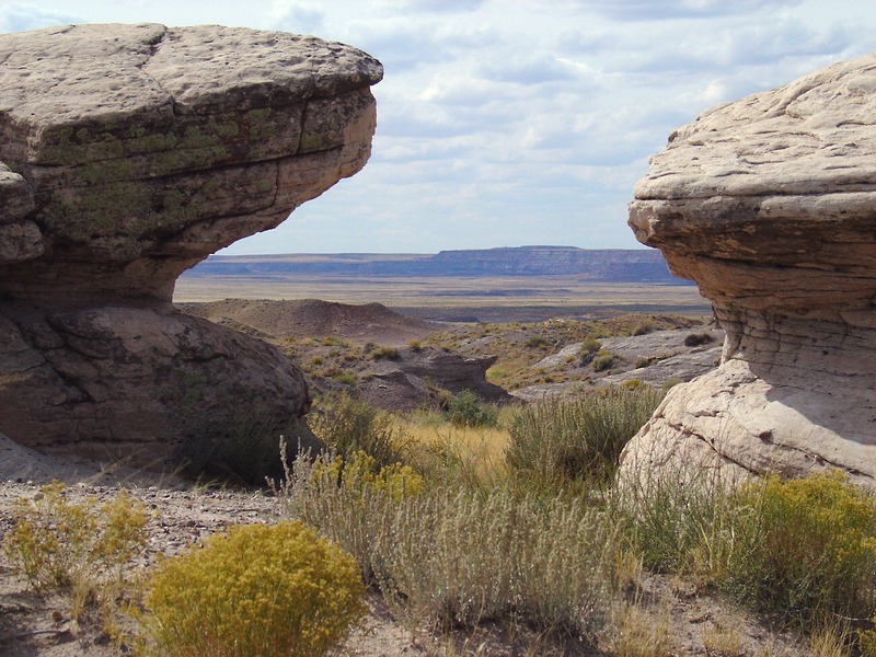 Petrified Forest