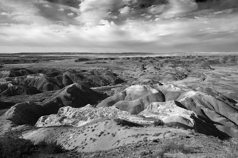 Petrified Forest