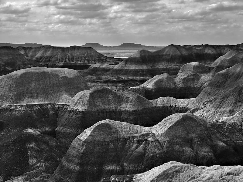Petrified Forest
