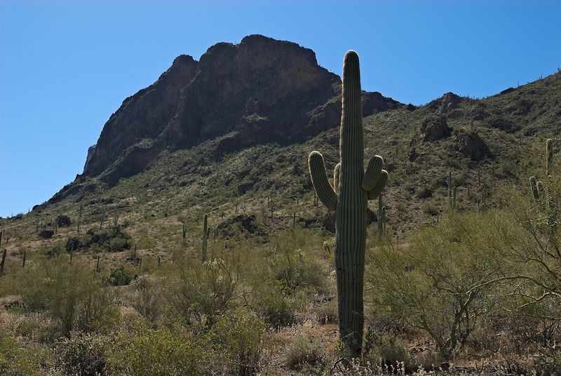 Picacho Peak