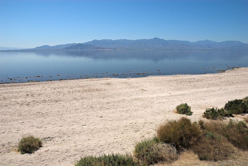 Salton Sea