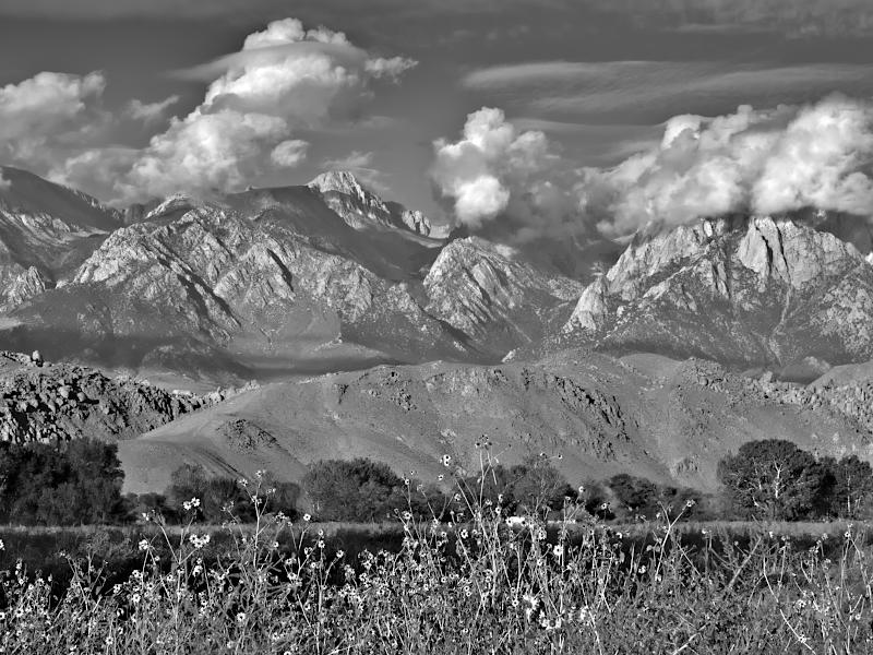 Sierra Nevada