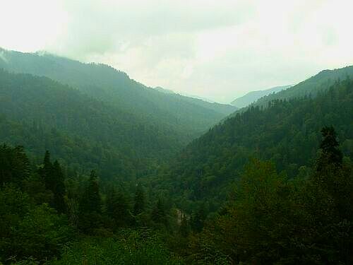 Great Smoky Mountains