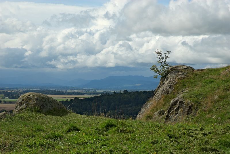 Stirling Landscape
