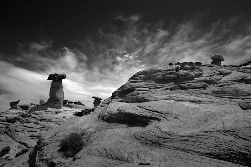 Studhorse Point