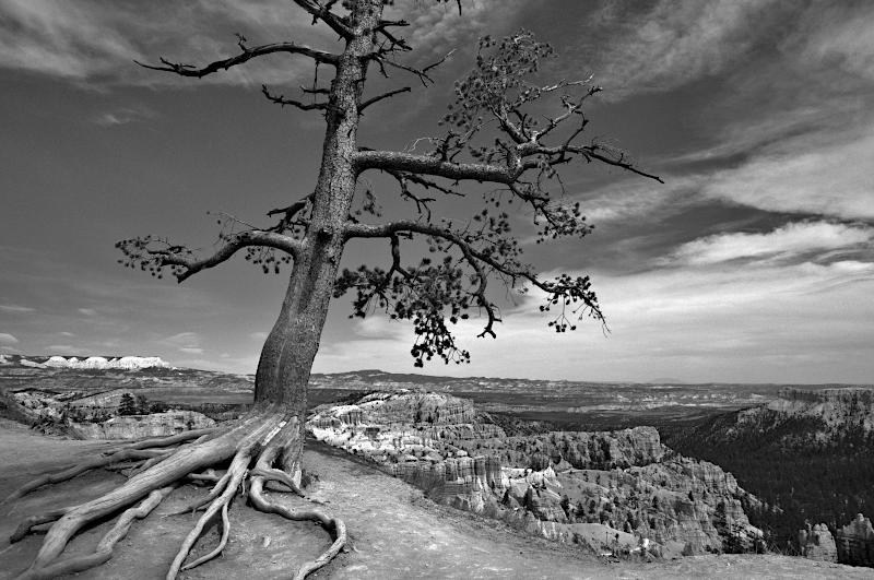 Bryce Canyon