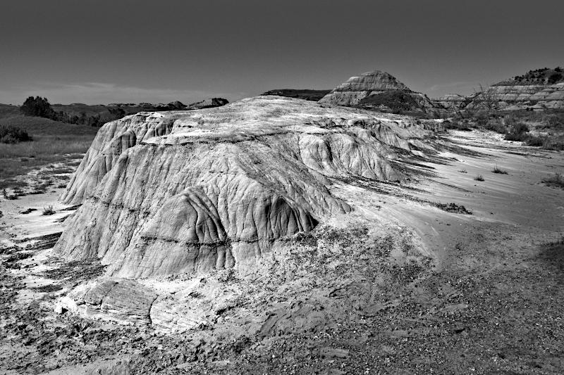 Theodore Roosevelt NP