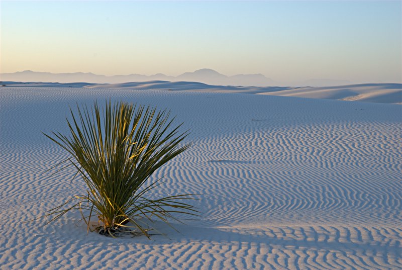 White Sands