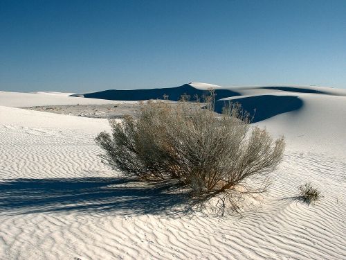 White Sands