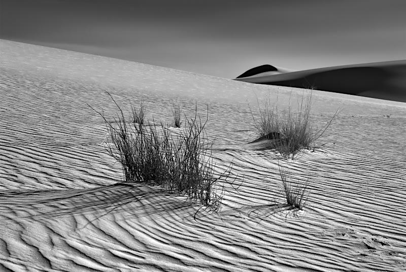 White Sands