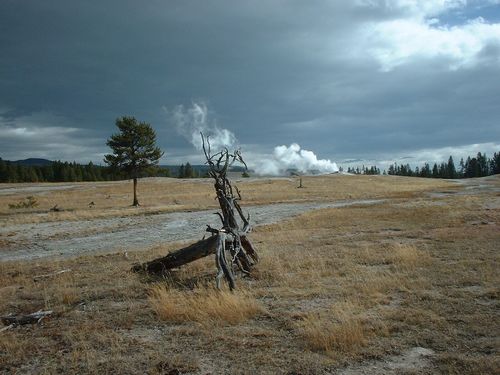 Yellowstone