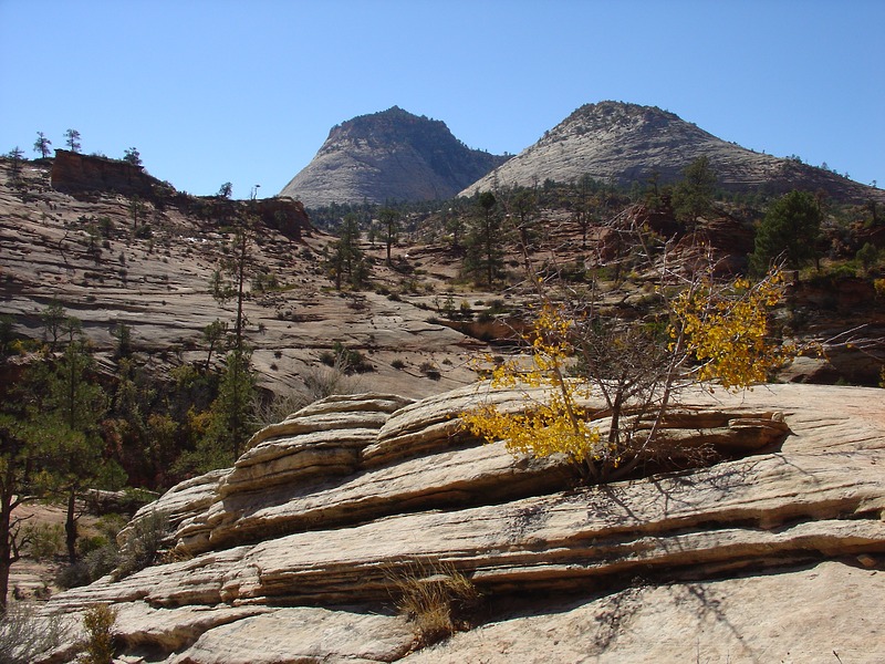 Zion NP