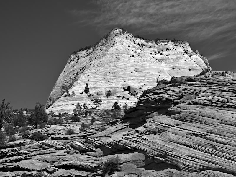 Zion NP