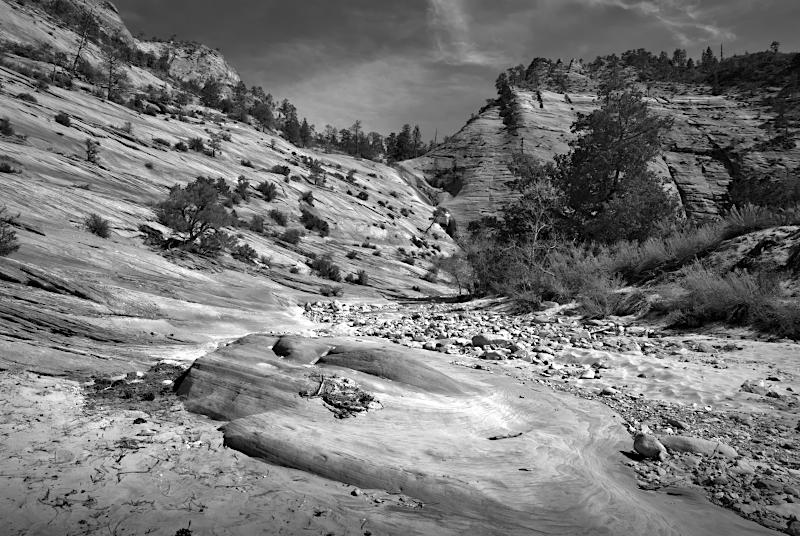 Zion NP